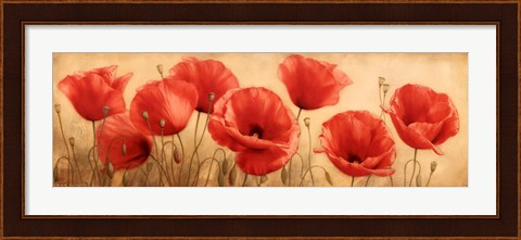 Framed Poppies Grace I Print