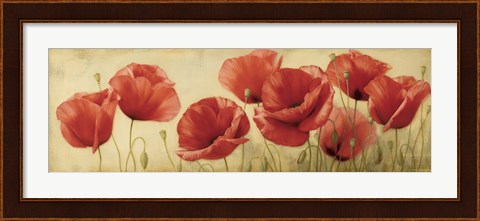 Framed Poppies Grace II Print