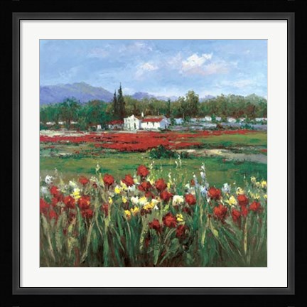 Framed Red Flower Field Print