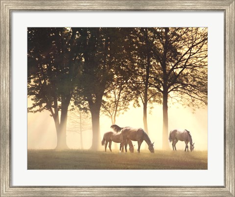 Framed Horses in the Mist Print