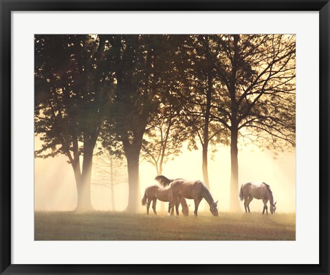 Framed Horses in the Mist Print