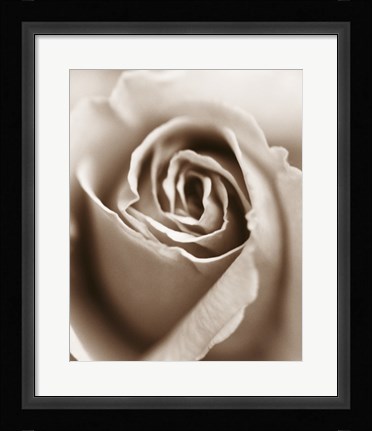 Framed Heart of the Rose Print