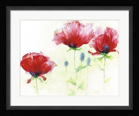 Framed Red Poppies II Print