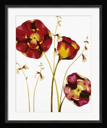 Framed Poppies Print