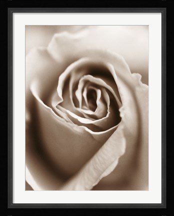 Framed Heart of the Rose Print
