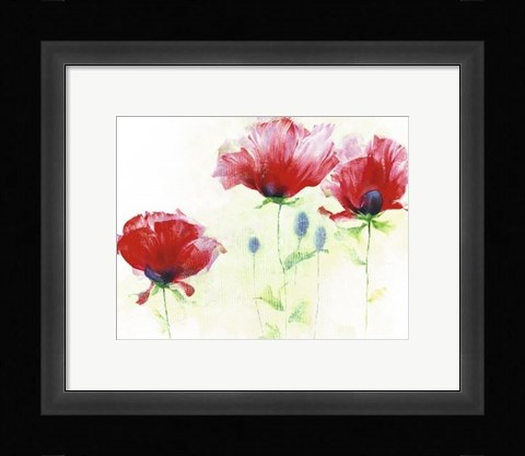 Framed Red Poppies II Print