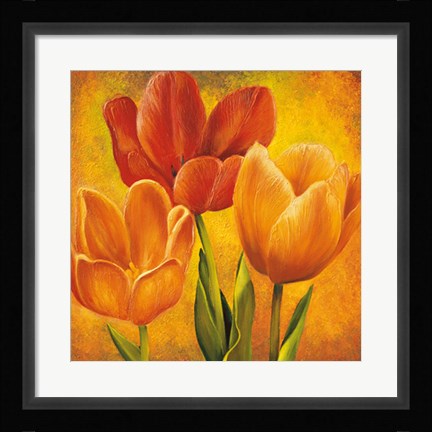 Framed Orange Tulips I Print
