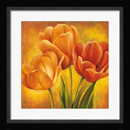 Framed Orange Tulips II Print