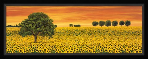 Framed Field of Sunflowers Print