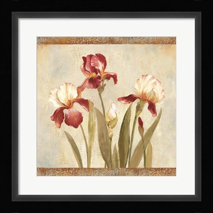 Framed Iris Tapestry II Print