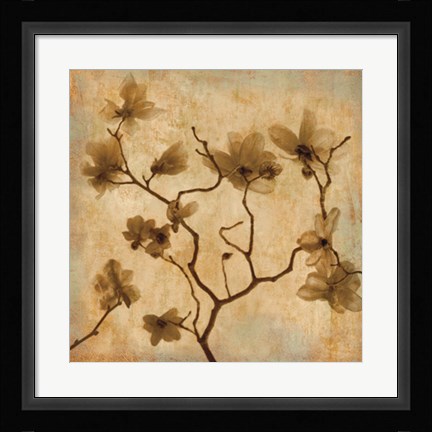 Framed Magnolias I Print