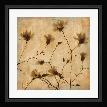 Framed Magnolias II Print