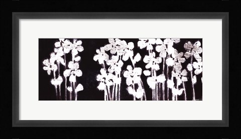 Framed White Flowers on Black I Print