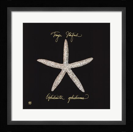 Framed Striking Shells I Print