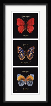 Framed Primary Butterfly Panel I Print