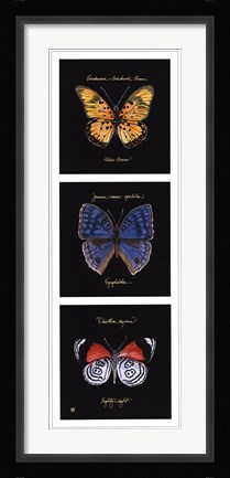 Framed Primary Butterfly Panel II Print