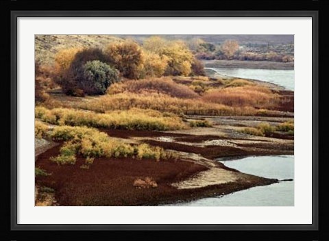 Framed Brilliant View IV Print