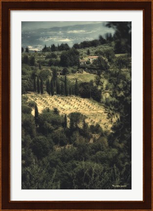 Framed Tuscan Vineyard Print