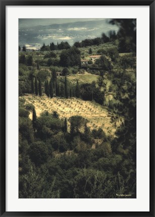 Framed Tuscan Vineyard Print