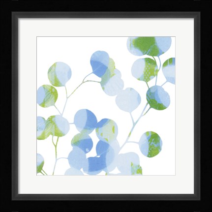 Framed Blue Plums II Print