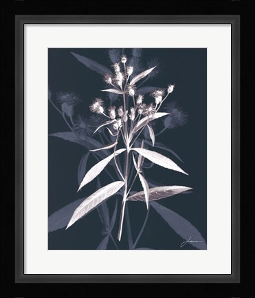 Framed Jewel Stems I Print