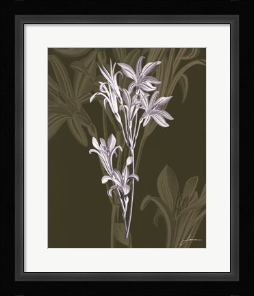 Framed Jewel Stems II Print