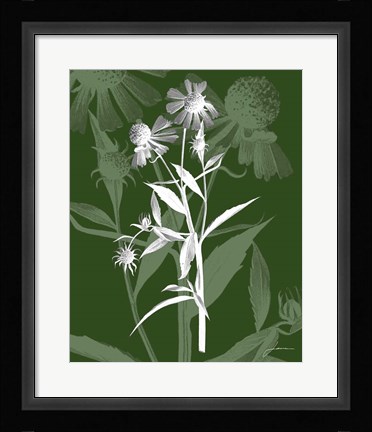 Framed Jewel Stems III Print