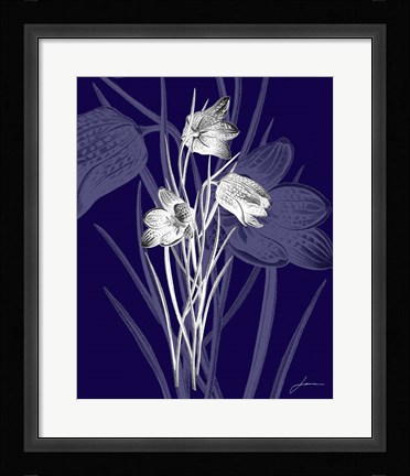 Framed Jewel Stems IV Print