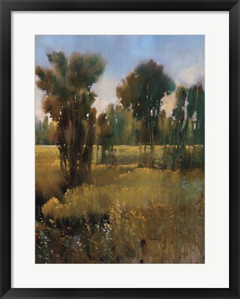 Framed Sunkissed Field II Print