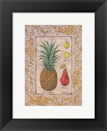 Framed Tropical Fruit II Print