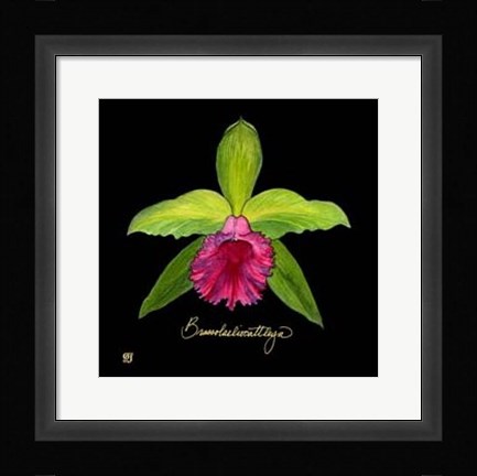 Framed Vivid Orchid I Print