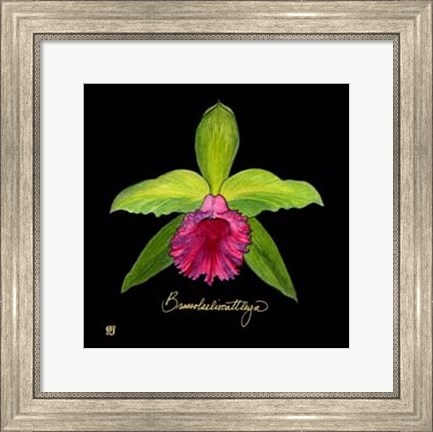 Framed Vivid Orchid I Print