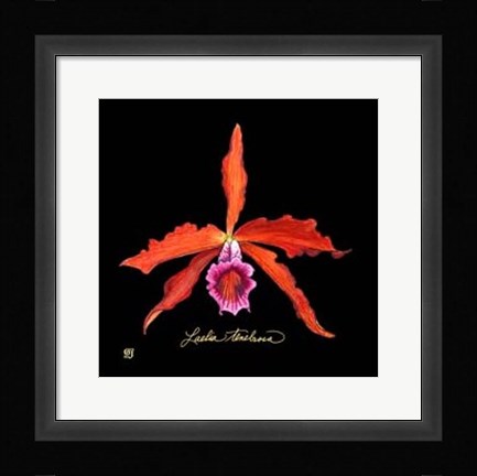 Framed Vivid Orchid II Print