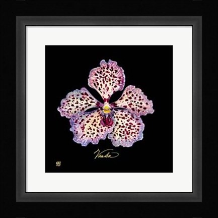 Framed Vivid Orchid V Print