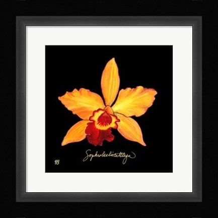 Framed Vivid Orchid VI Print