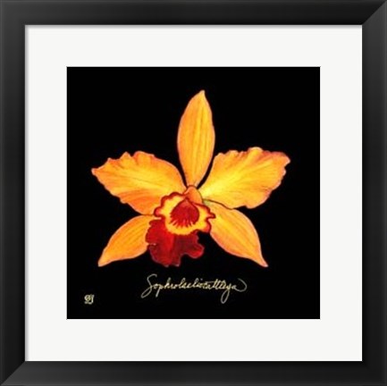 Framed Vivid Orchid VI Print