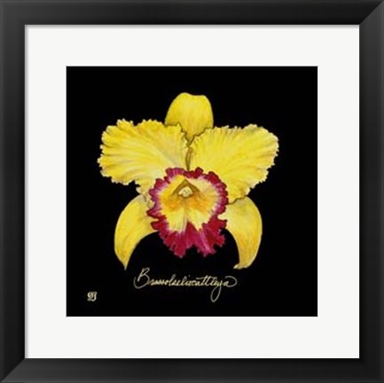 Framed Vivid Orchid VII Print