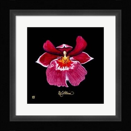 Framed Vivid Orchid VIII Print
