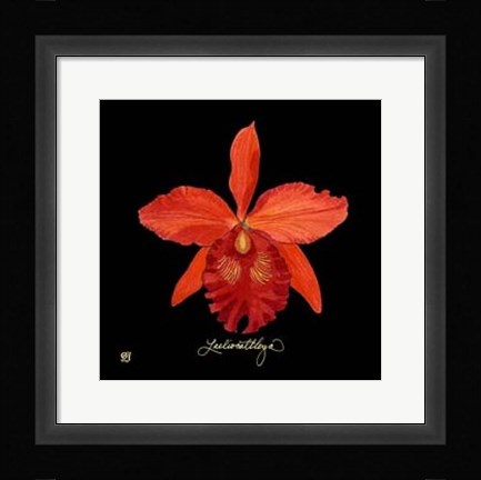 Framed Vivid Orchid IX Print