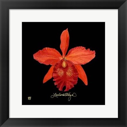 Framed Vivid Orchid IX Print