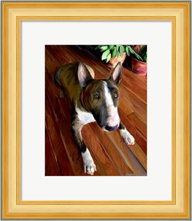 Framed Bull Terrier Down Print