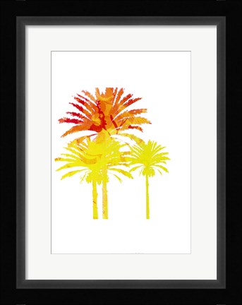 Framed Sunny Palm II Print
