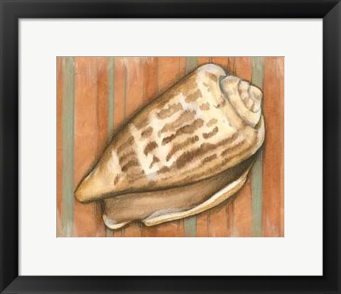 Framed Shell on Stripes III - light Print