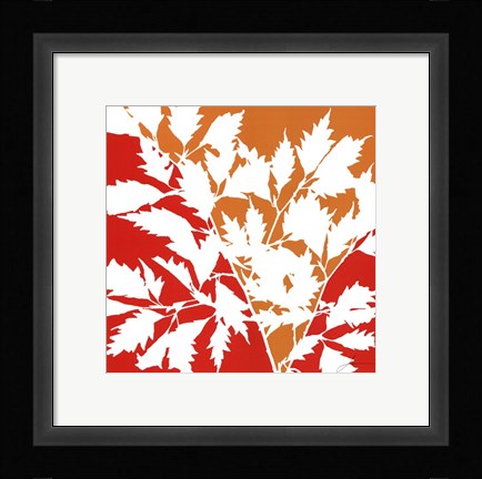 Framed Split Stem II Print