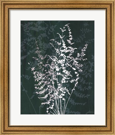 Framed Jewel Ferns II Print