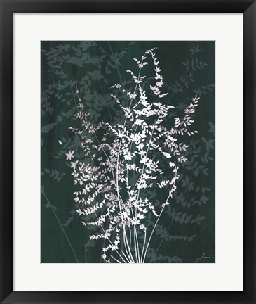 Framed Jewel Ferns II Print