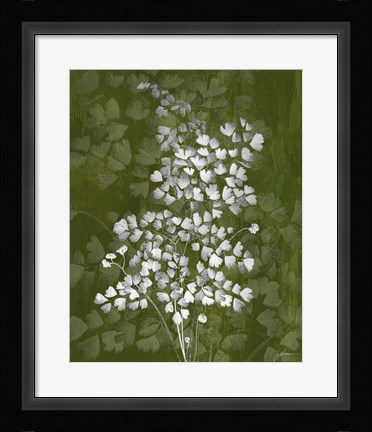 Framed Jewel Ferns III Print