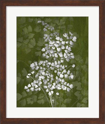 Framed Jewel Ferns III Print