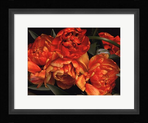 Framed Old World Tulips I Print