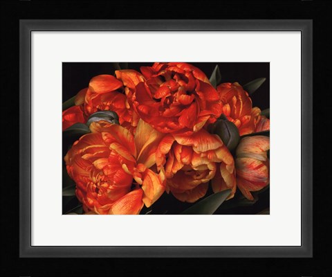 Framed Old World Tulips II Print